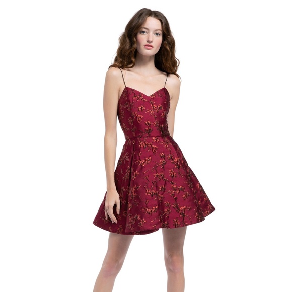 alice and olivia annette dress